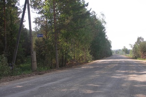 Асфальт на федеральной трассе М53, недалеко от Канска